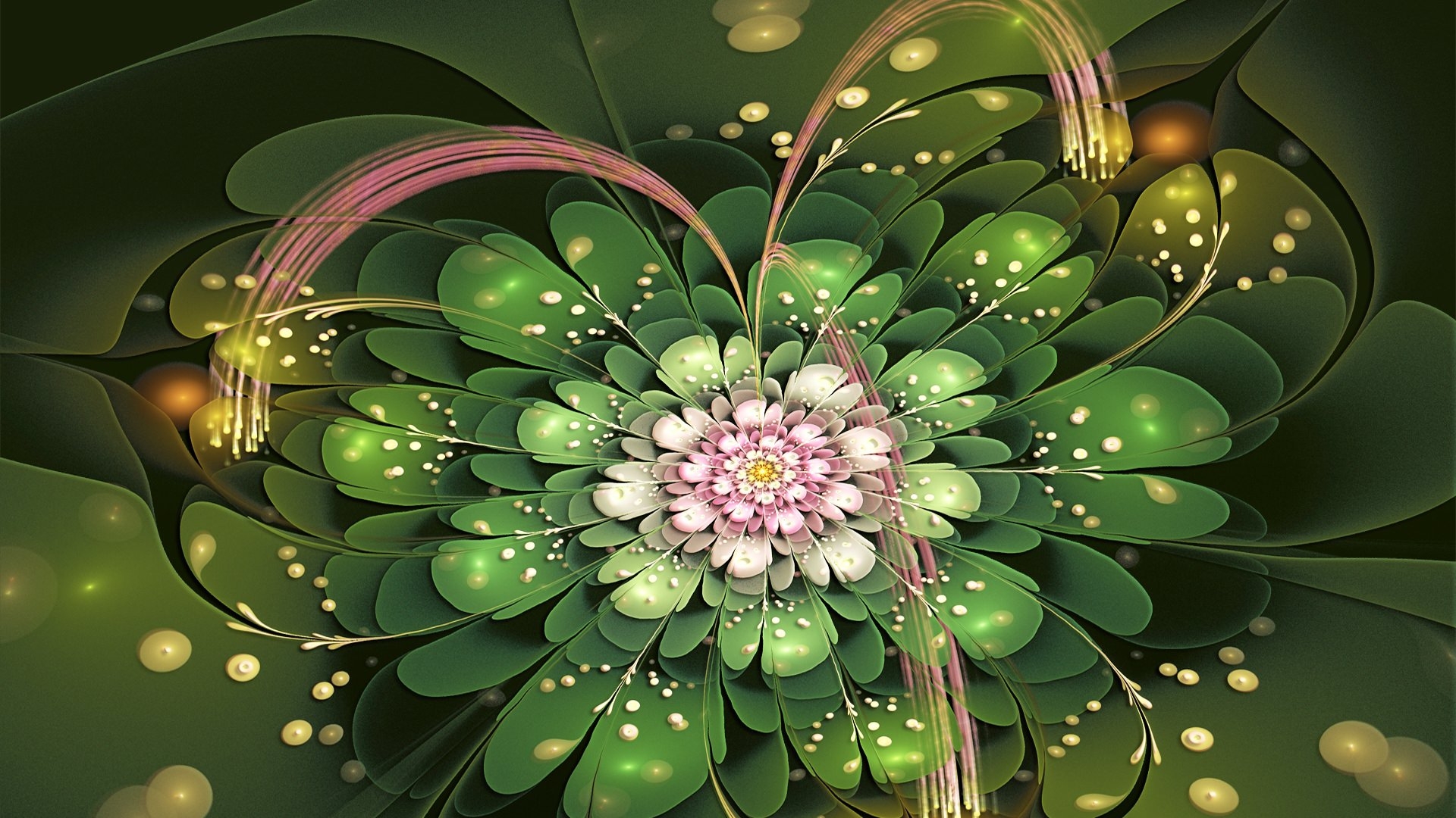 fractal flowers images